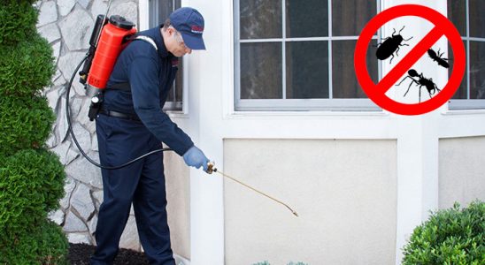 Fatsa Hamam Böceği İlaçlama böcek ilaçlama ve haşere kontrolü — ilaclama-tr.com
